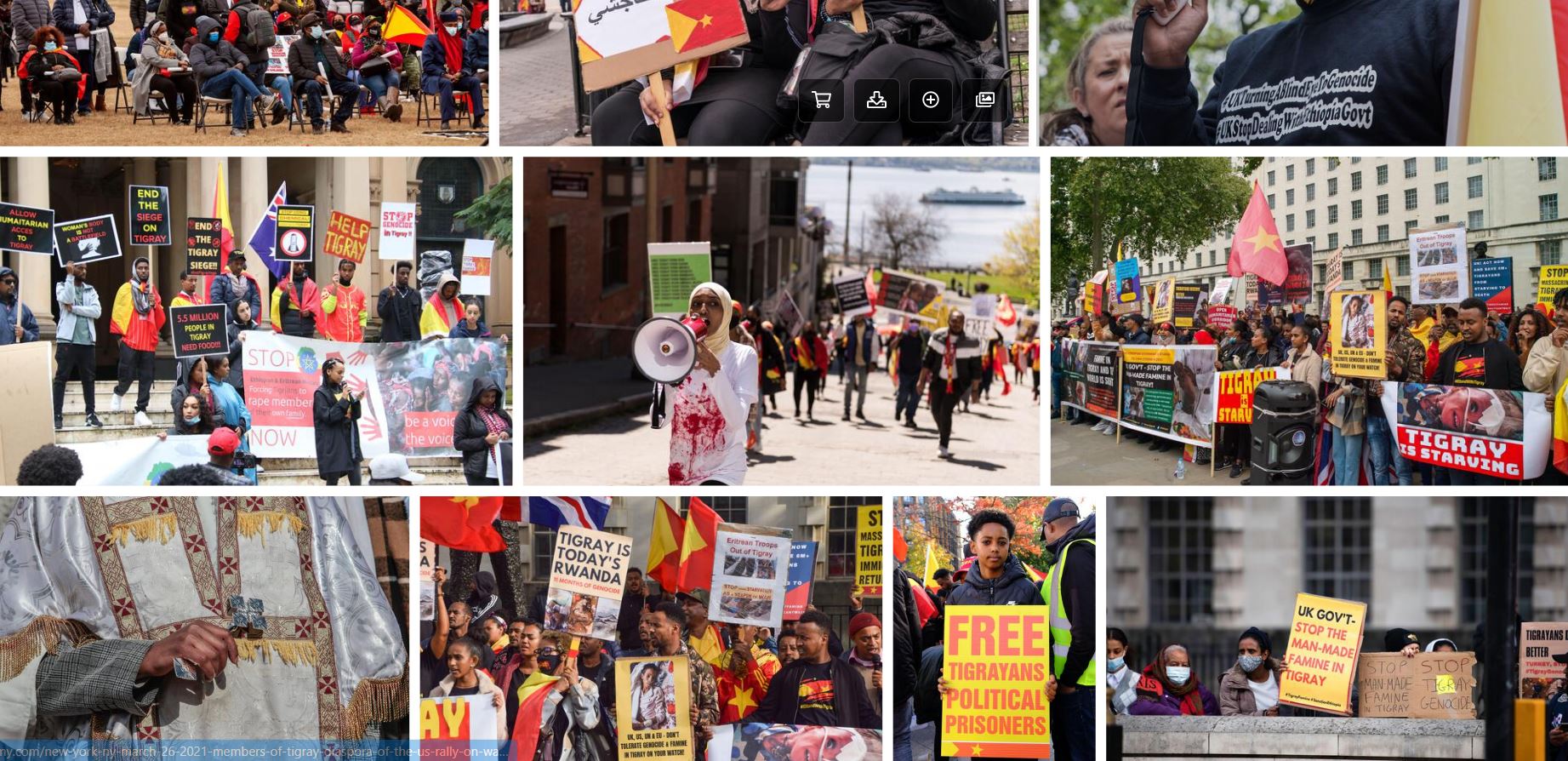 The Ten Stages of the Tigray Genocide: from Hate Propaganda to Genocide – Setting a Course for Genocide