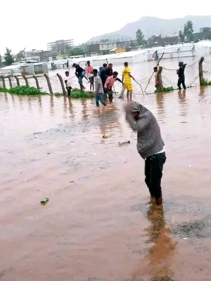 Photo 2023 07 18 20 02