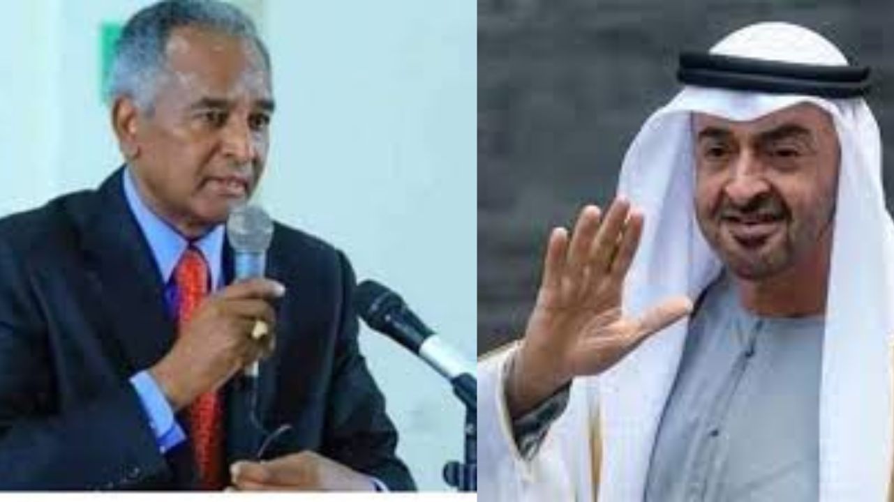 A scandal that tarnishes the reputation of the United Arab Emirates and its diplomatic activities has been committed in Dubai.