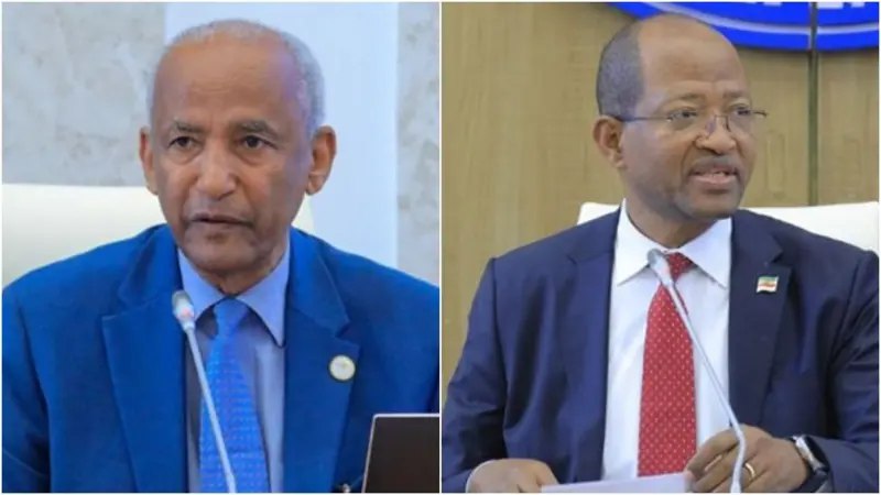 The National Consultative Commission has sought the assistance of the House of Representatives to carry out tasks in the Tigray region.