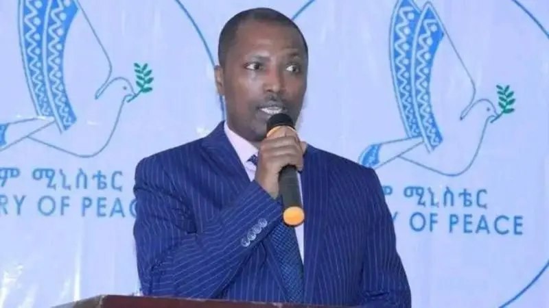 Taye Dendea has been granted bail by the Federal Supreme Court Cassation Bench.