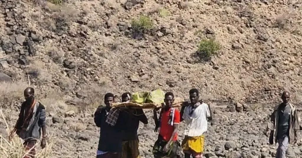 Drone Attack in Afar: Residents Report Multiple Fatalities and Injuries.