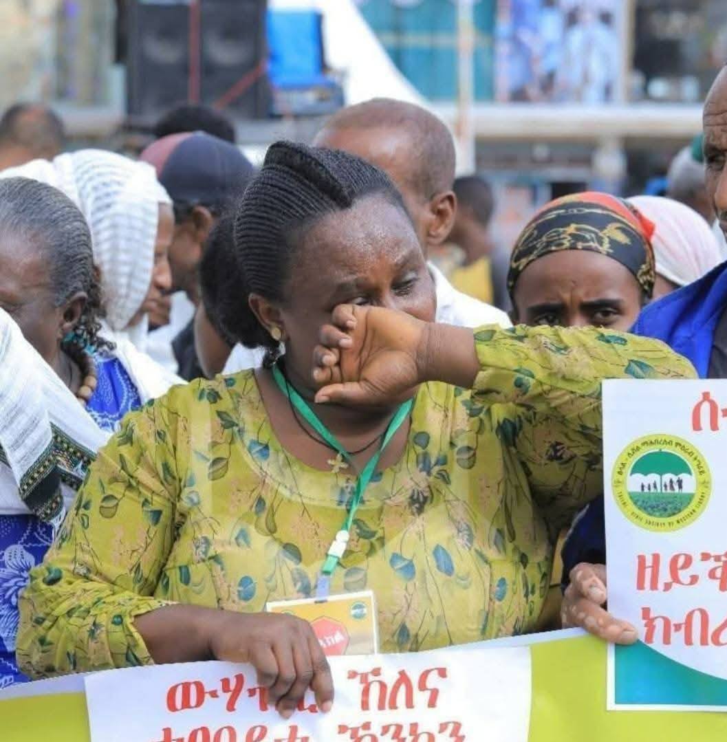 Tigrayan IDPs Stage Peaceful Demonstration, Demanding Swift Return Home