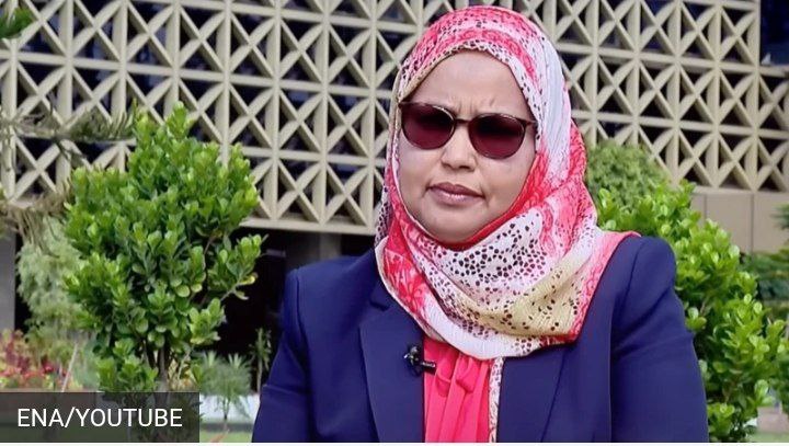 Ethiopia Rejects Eritrea’s Military Allegations: Defense Minister Dismisses Criticism