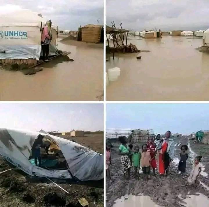 Photo 2025 06 10 19 25 38