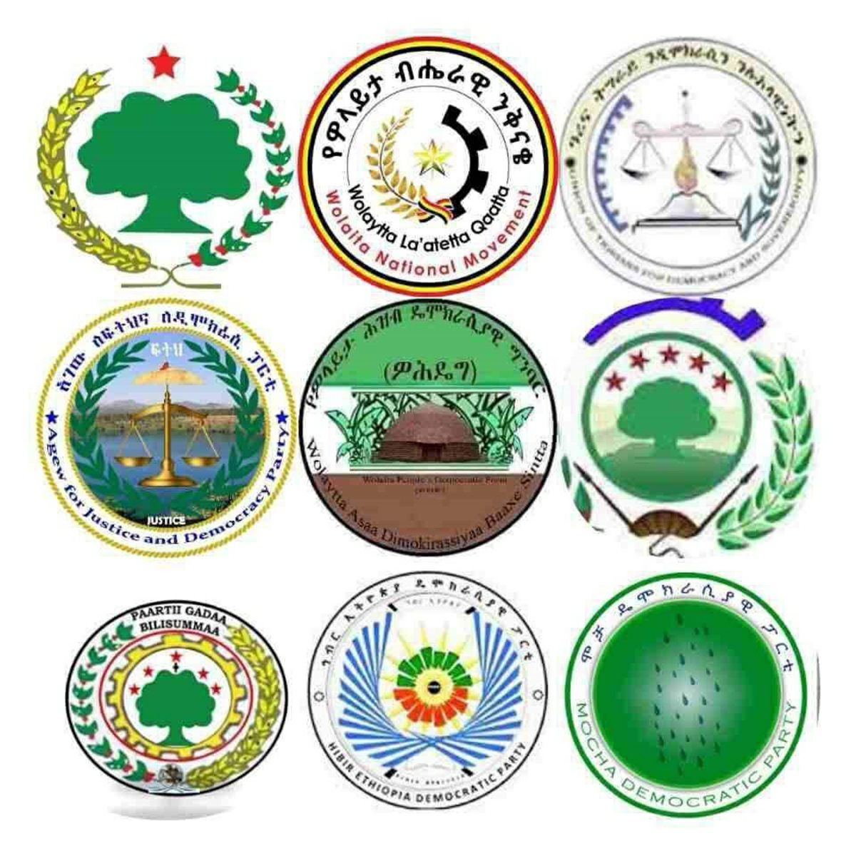 Ethiopian Opposition Parties Accuse Election Board of “Incompetence” in Upcoming National Election