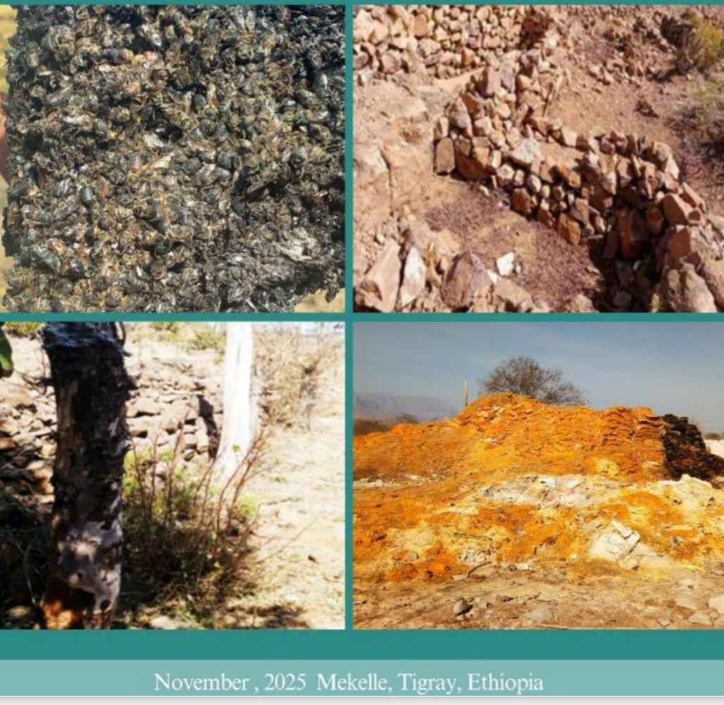 Commission of Inquiry on Tigray Genocide Reports Massive Environmental Destruction Caused by War That Erupted Over Tigray in November 2020.