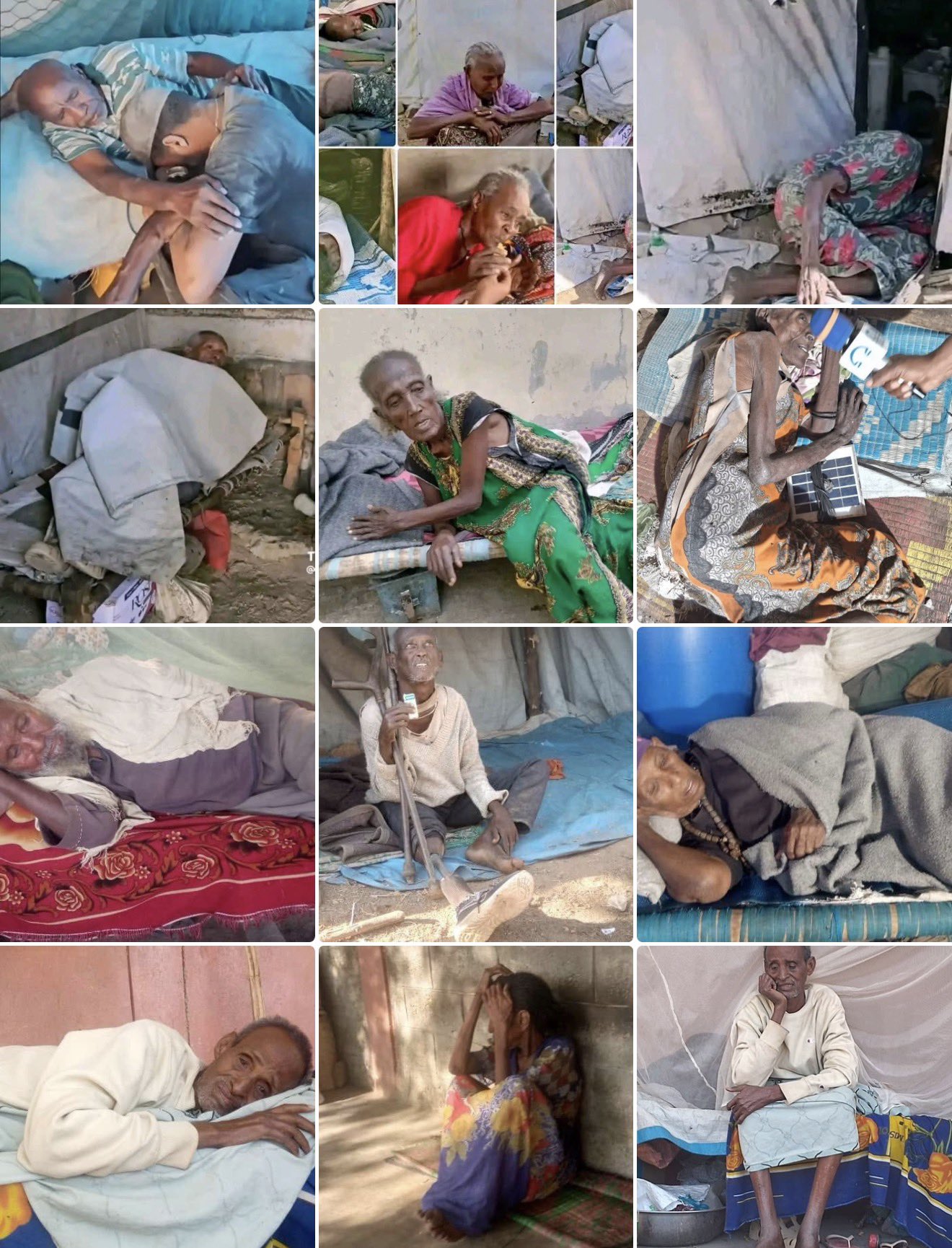 Lives Lost Before Our Eyes: Starvation in Tigray’s Hitsats IDPs Camp.
