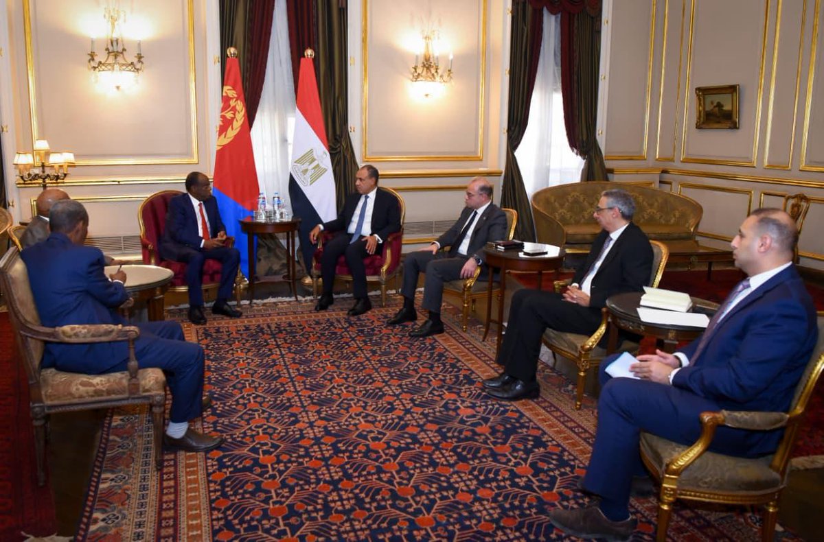 Eritrean delegation holds economic talks with Egyptian officials in Cairo